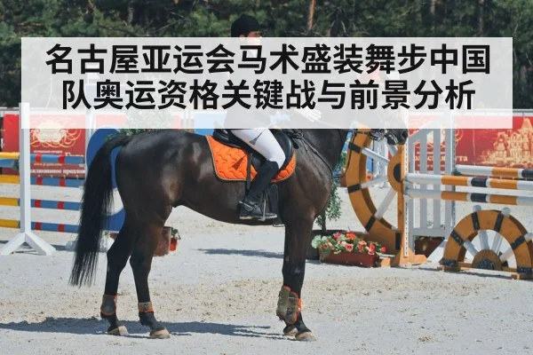 equestrian dressage horse competition